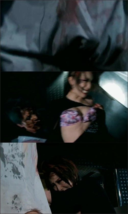 Rape Zombie Lust Of The Dead 4 (2014) 480p DVDRip Japanese
