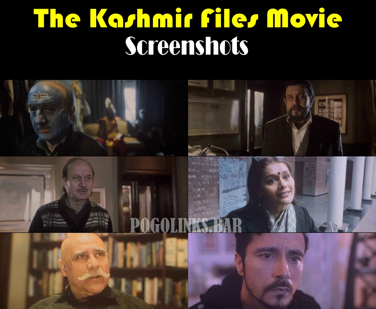 The-Kashmir-Files-2022-movie.jpg
